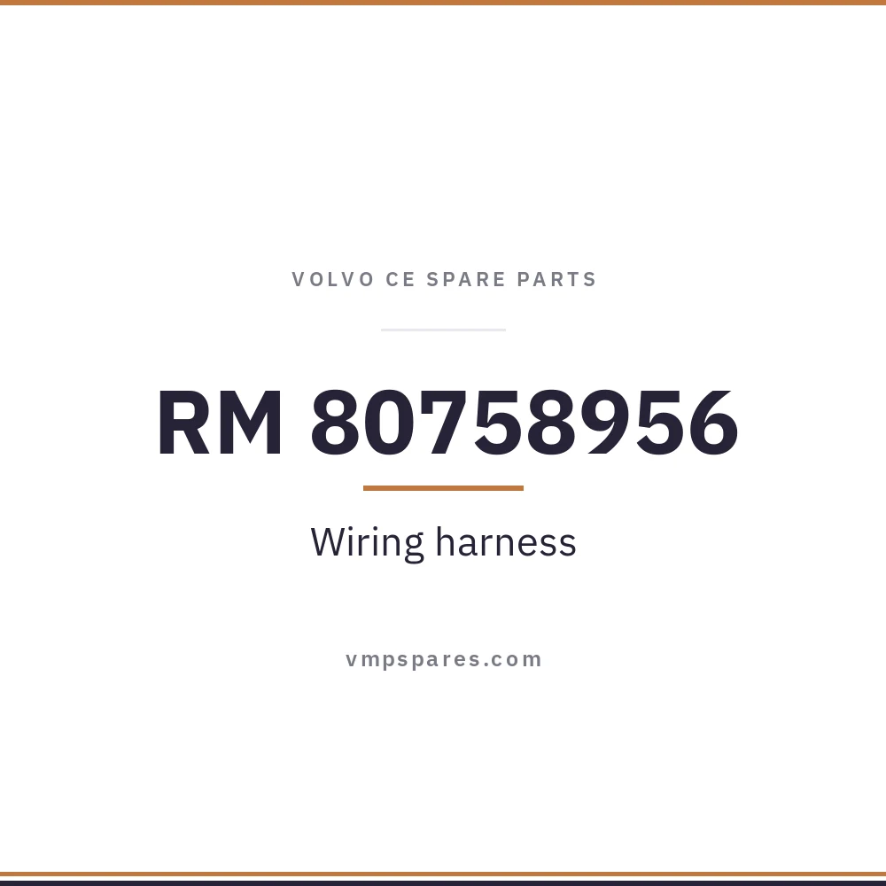 RM 80758956 – Wiring harness