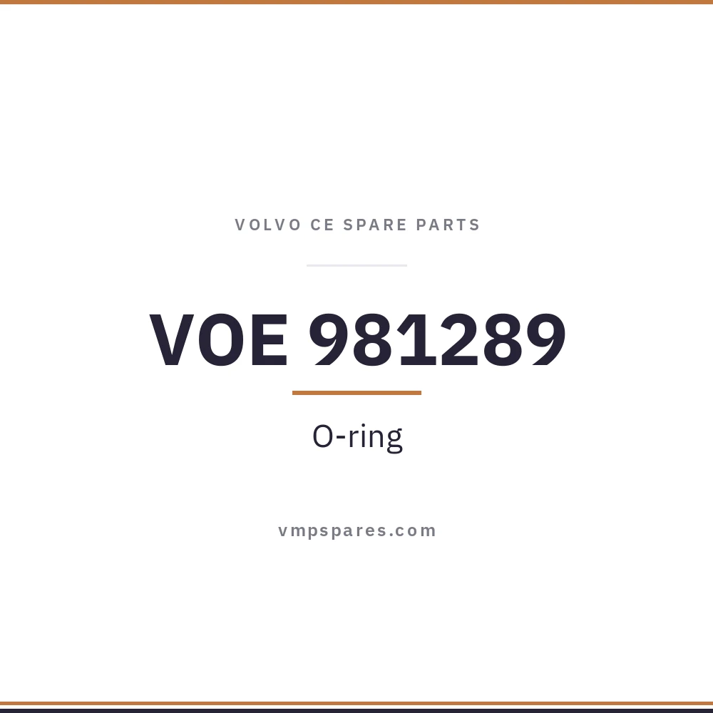 VOE 981289 – O-ring