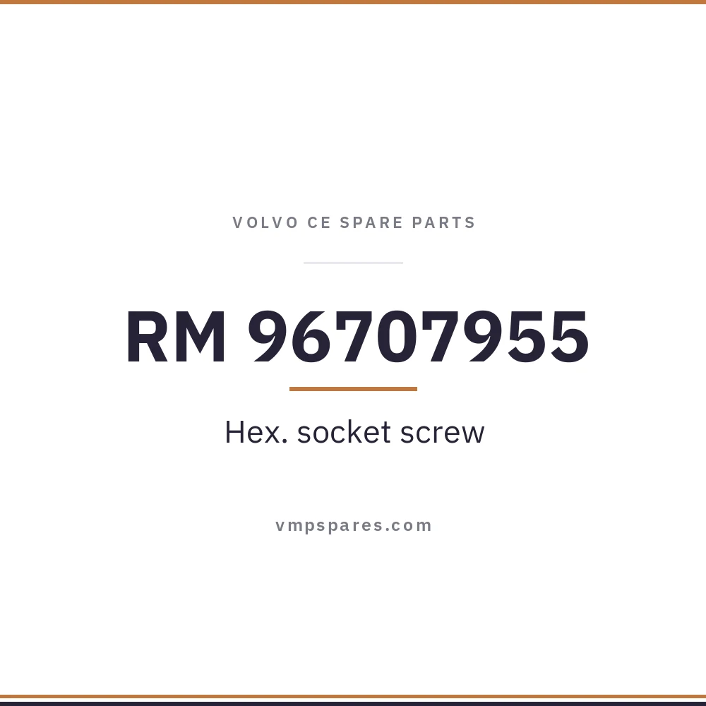 RM 96707955 – Hex. socket screw