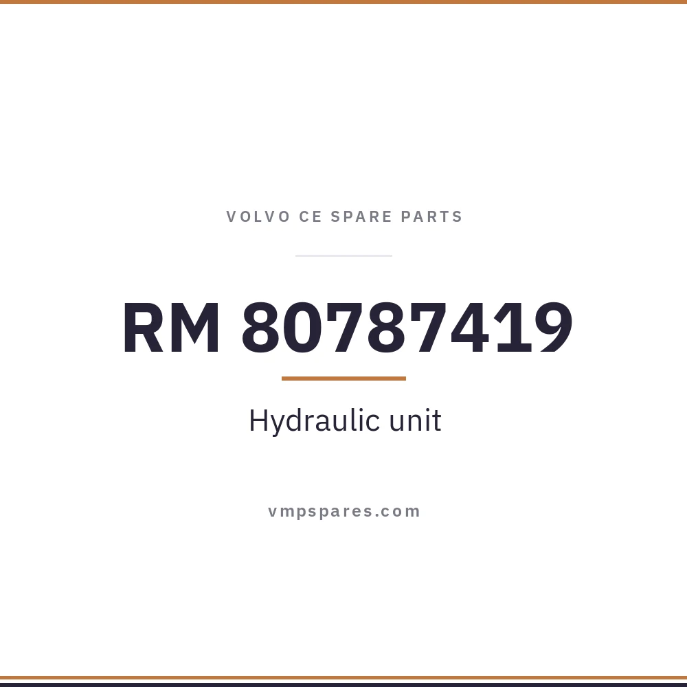 RM 80787419 – Hydraulic unit
