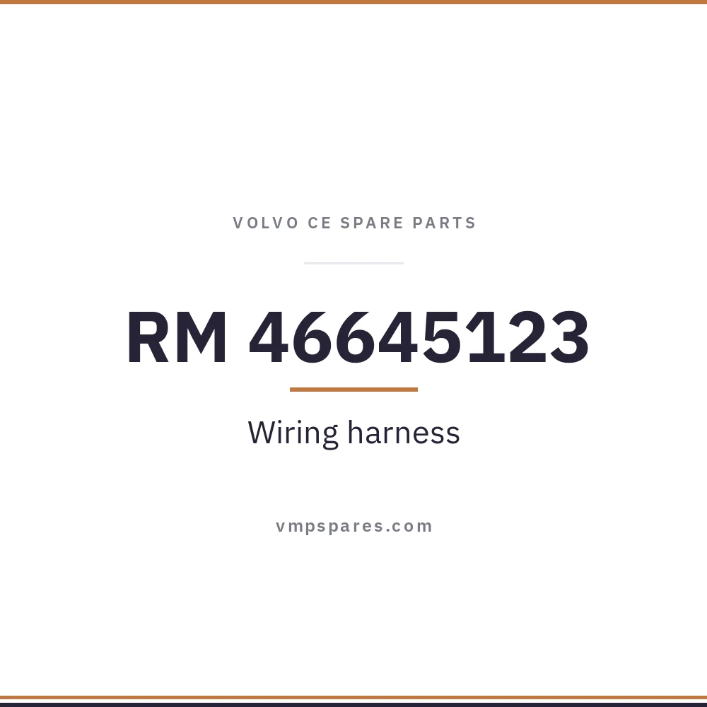 RM 46645123 – Wiring harness