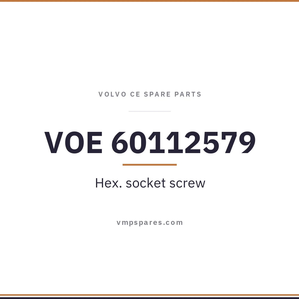 VOE 60112579 – Hex. socket screw