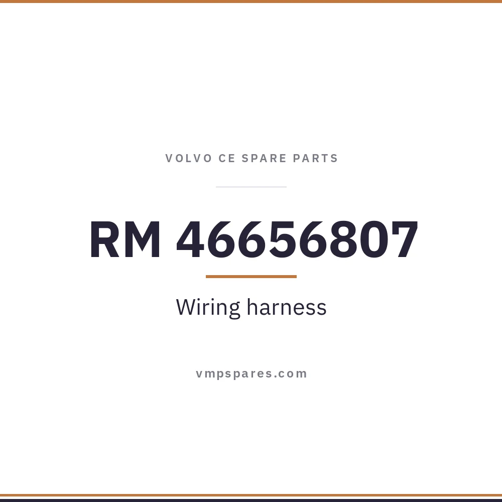 RM 46656807 – Wiring harness