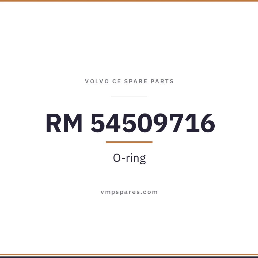 RM 54509716 – O-ring