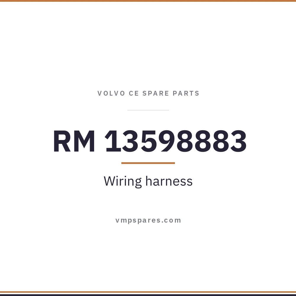 RM 13598883 – Wiring harness