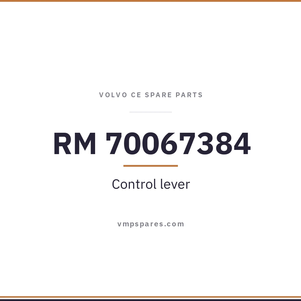 RM 70067384 – Control lever