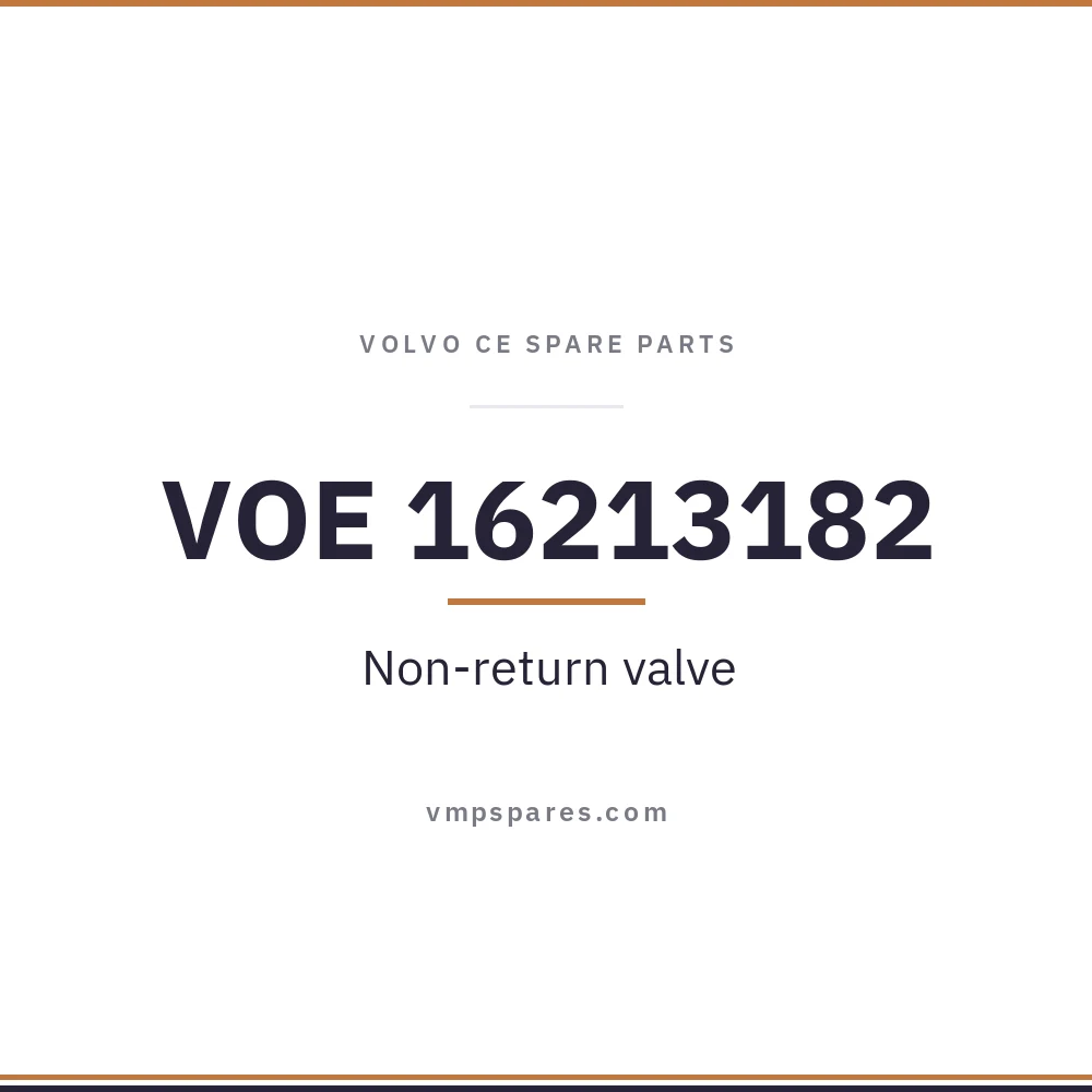 VOE 16213182 – Non-return valve