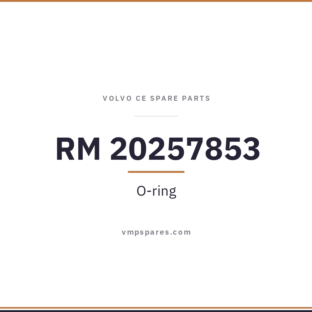 RM 20257853 – O-ring