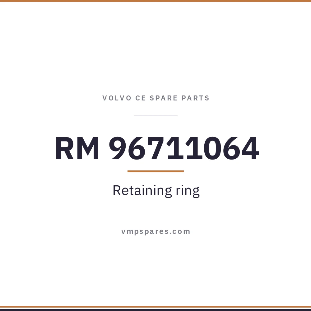 RM 96711064 – Retaining ring