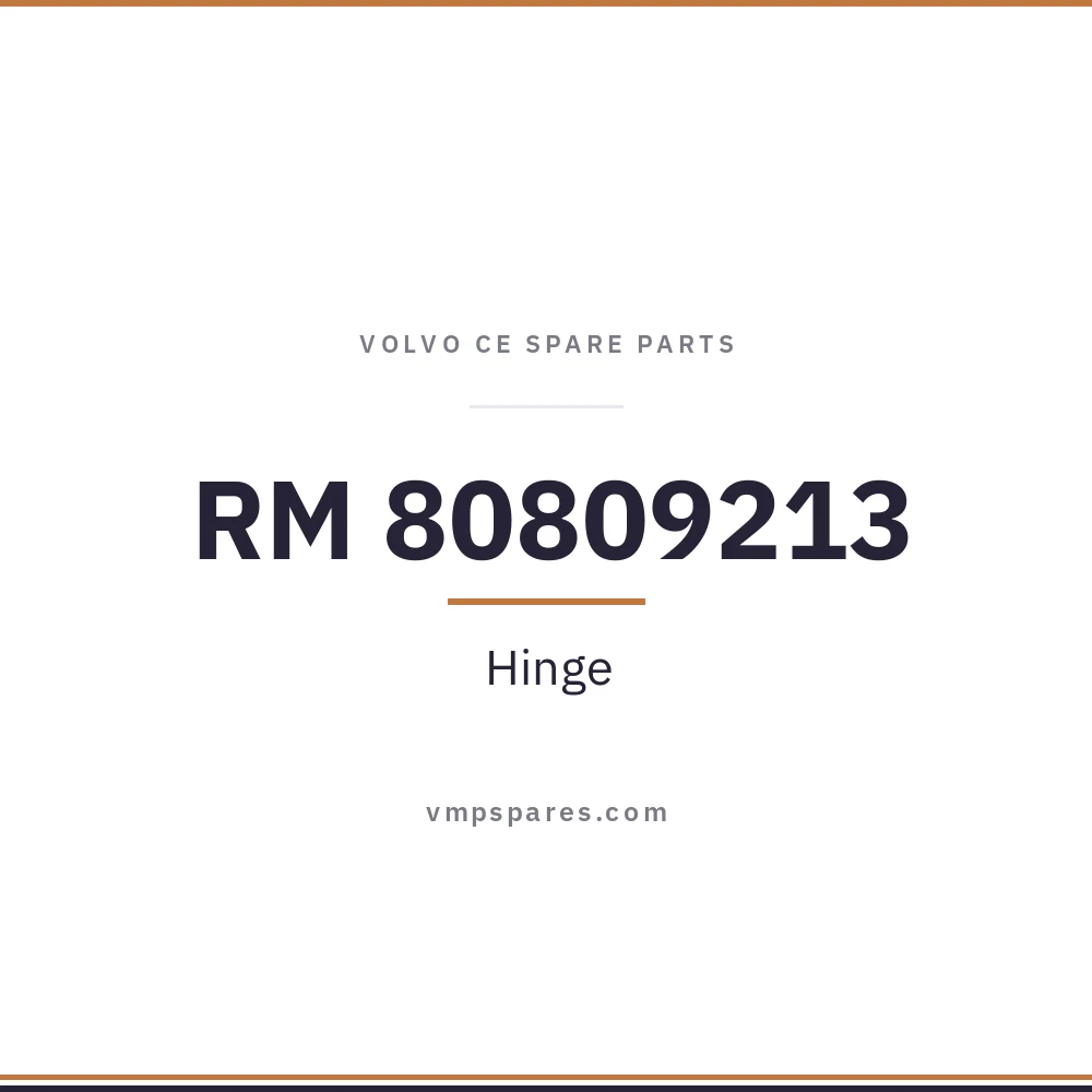 RM 80809213 – Hinge