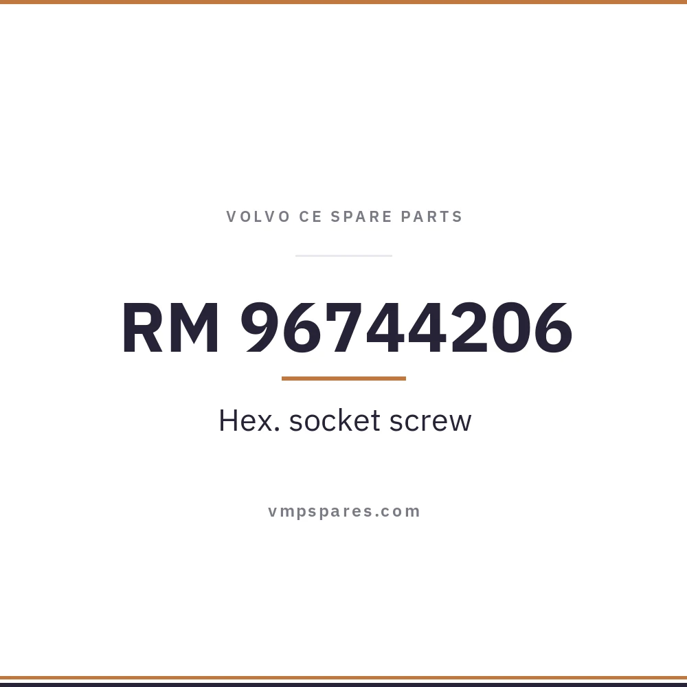 RM 96744206 – Hex. socket screw