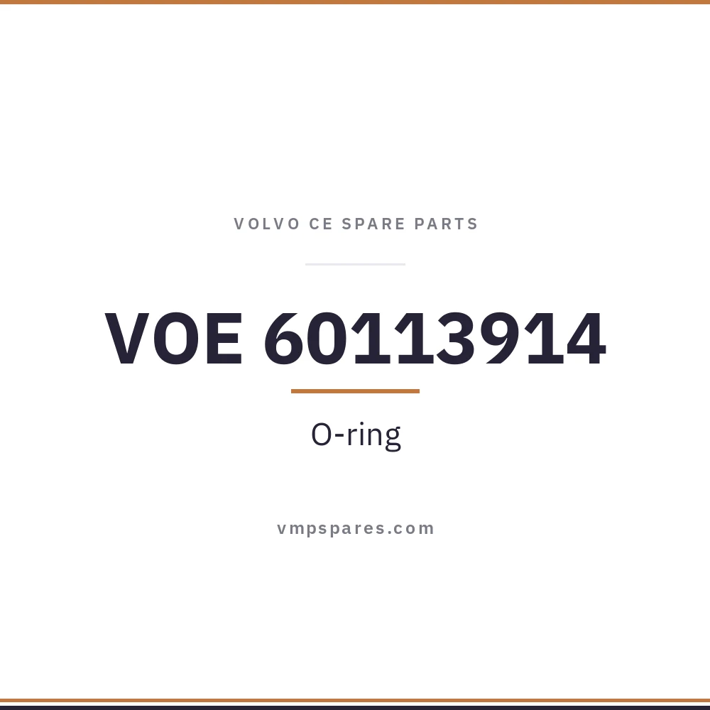 VOE 60113914 – O-ring
