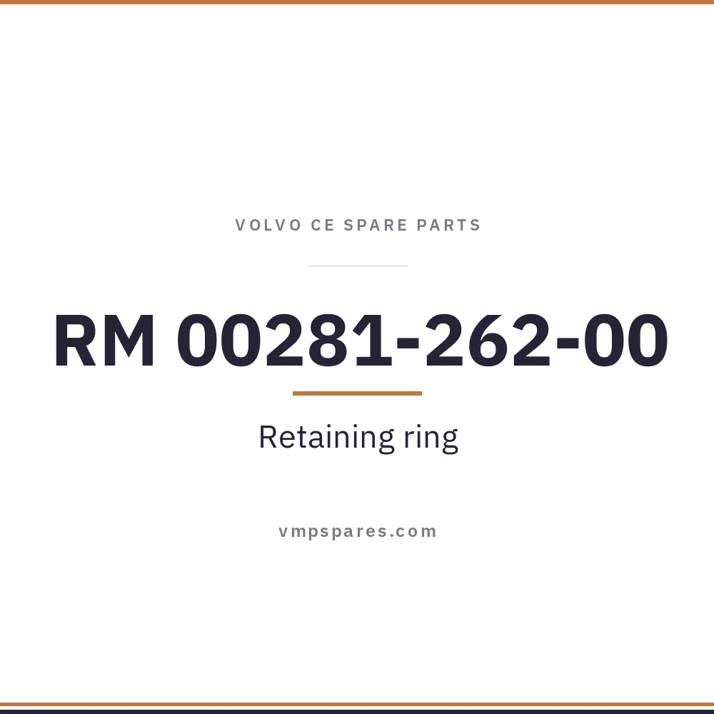RM 00281-262-00 – Retaining ring