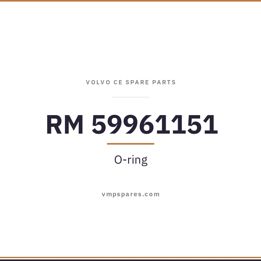 RM 59961151 – O-ring