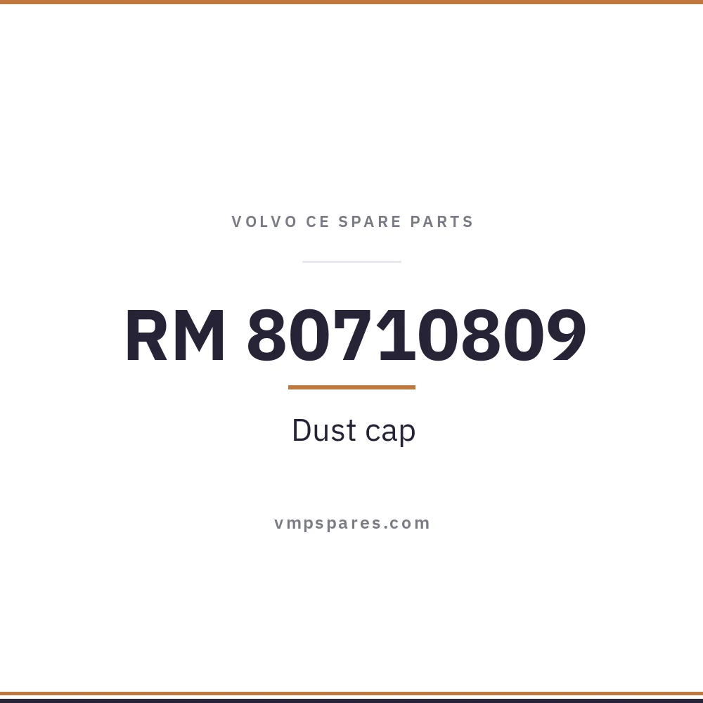 RM 80710809 – Dust cap