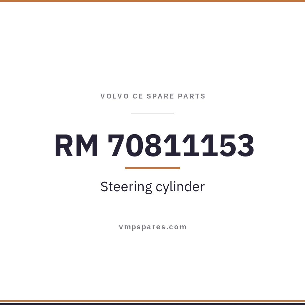 RM 70811153 – Steering cylinder
