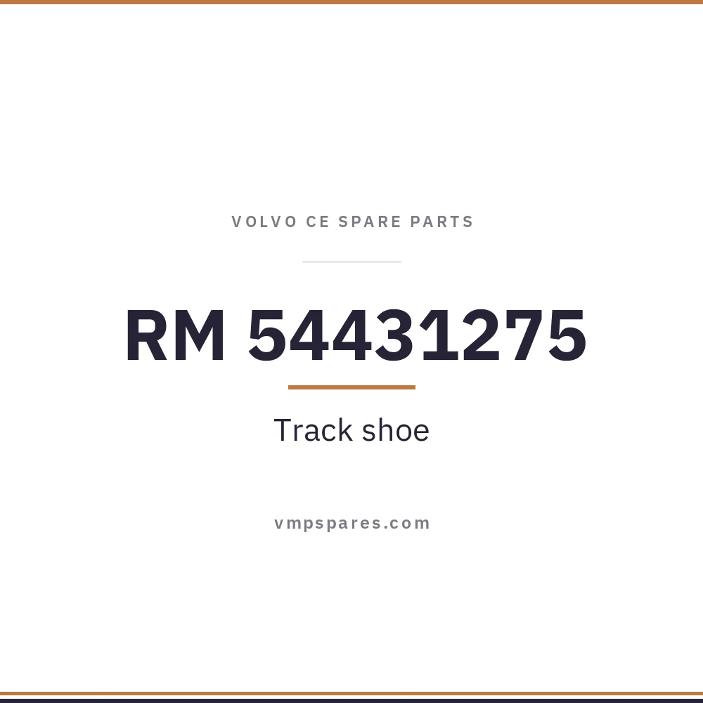 RM 54431275 – Track shoe