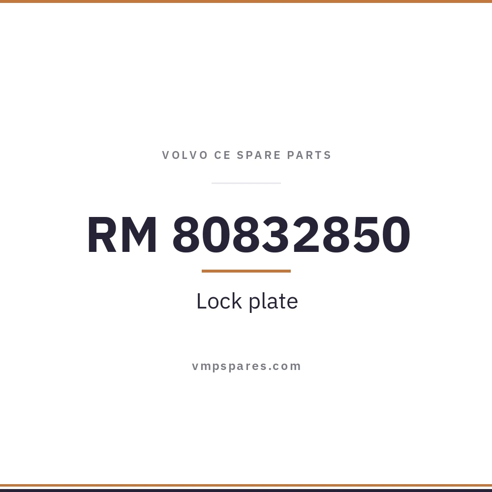 RM 80832850 – Lock plate