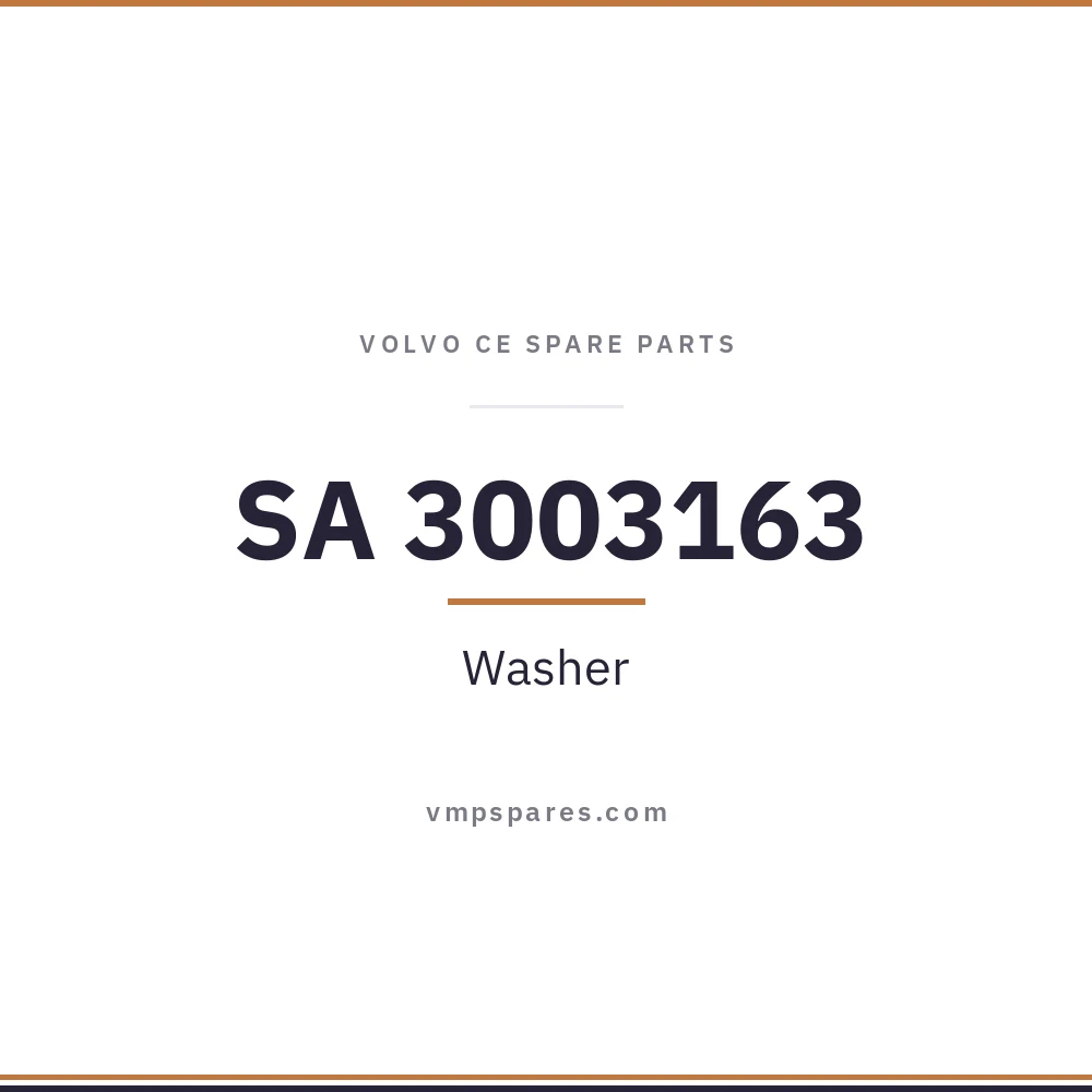 SA 3003163 – Washer