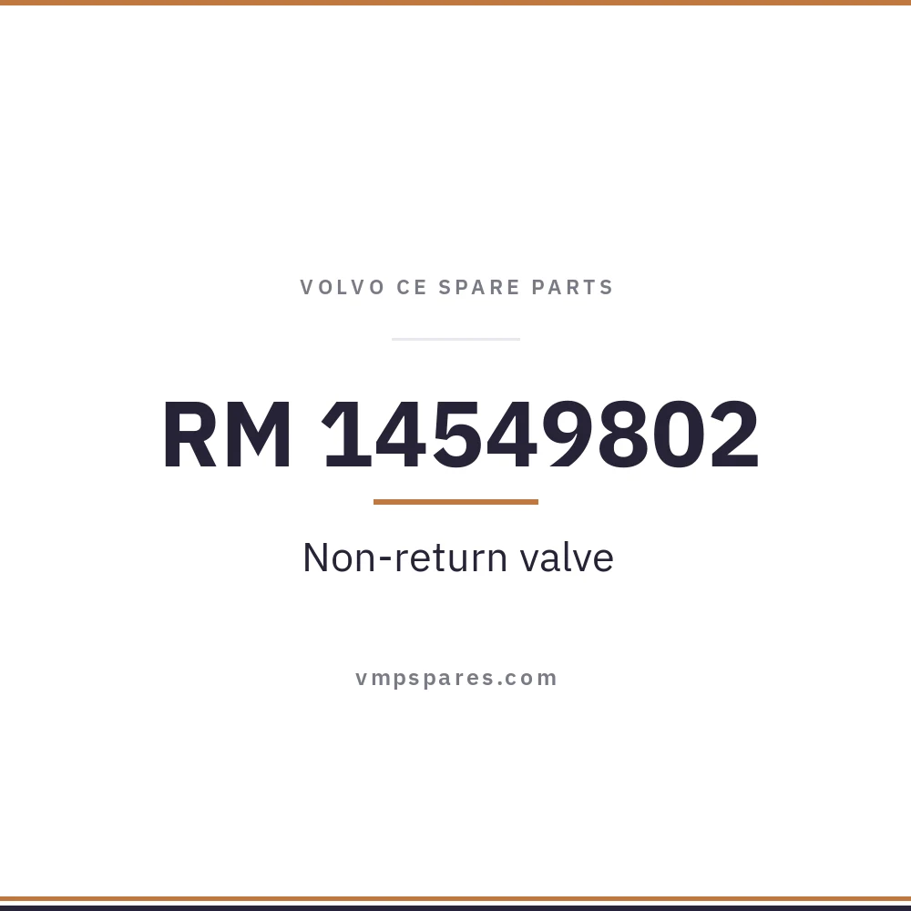 RM 14549802 – Non-return valve