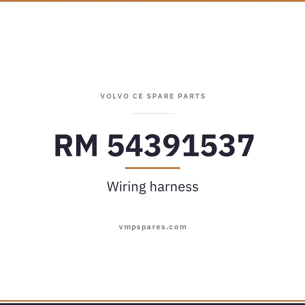 RM 54391537 – Wiring harness