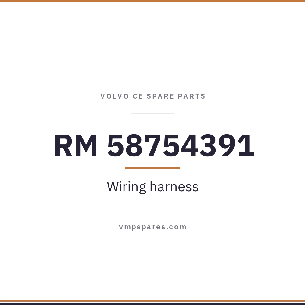 RM 58754391 – Wiring harness
