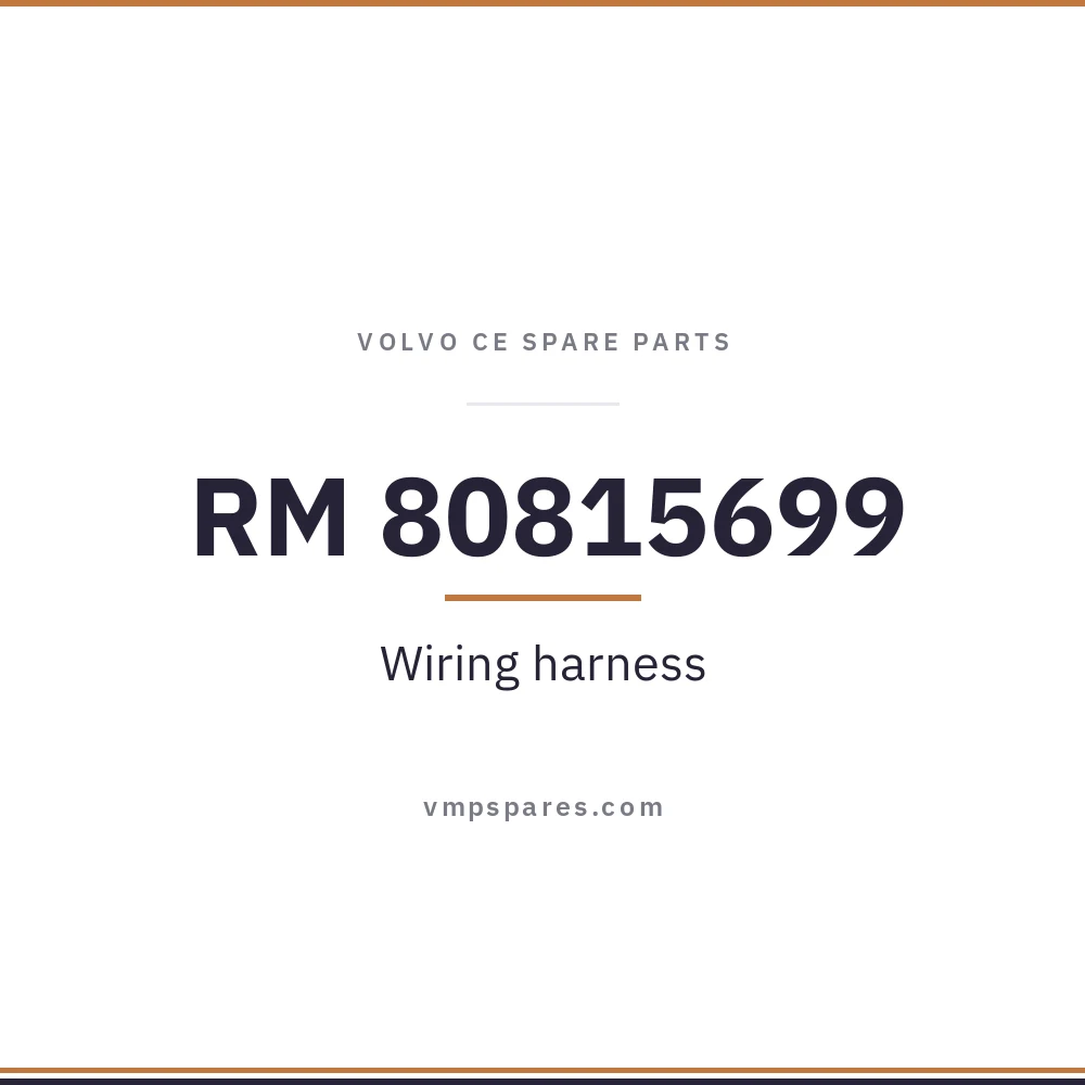 RM 80815699 – Wiring harness