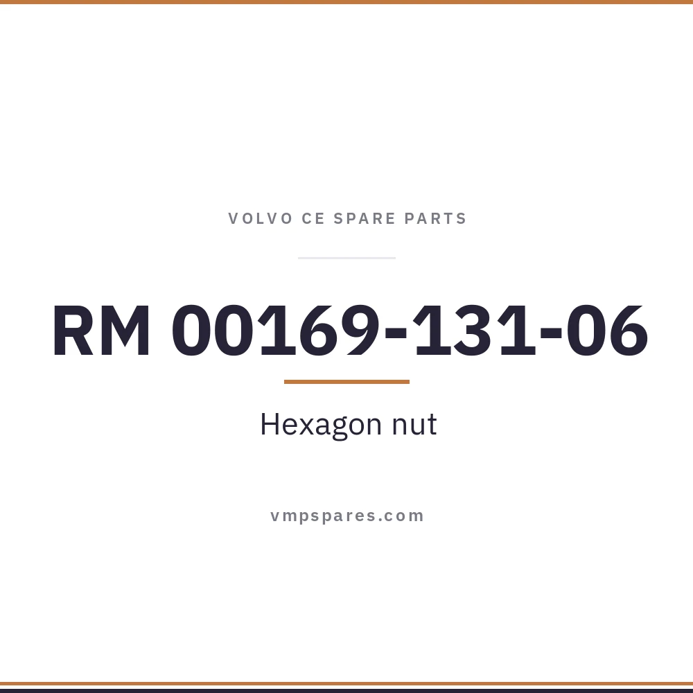 RM 00169-131-06 – Hexagon nut
