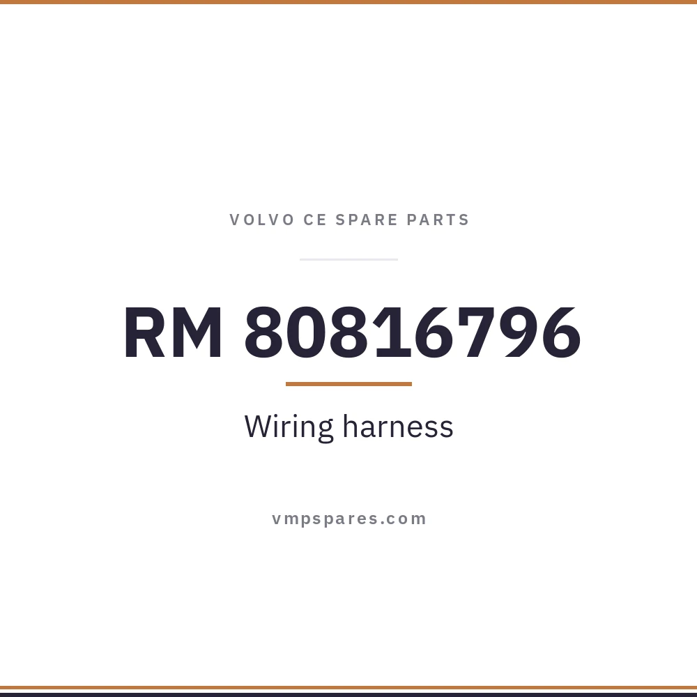 RM 80816796 – Wiring harness