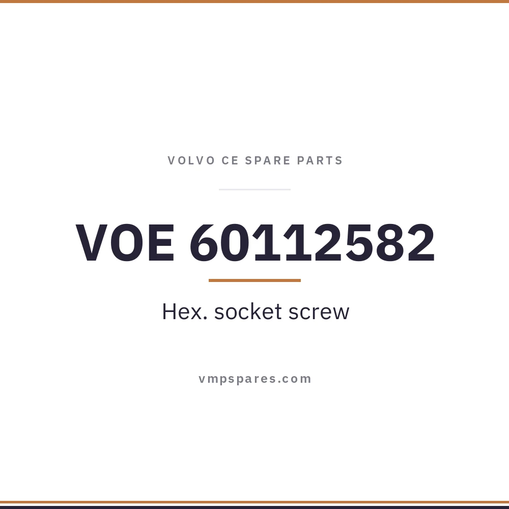 VOE 60112582 – Hex. socket screw