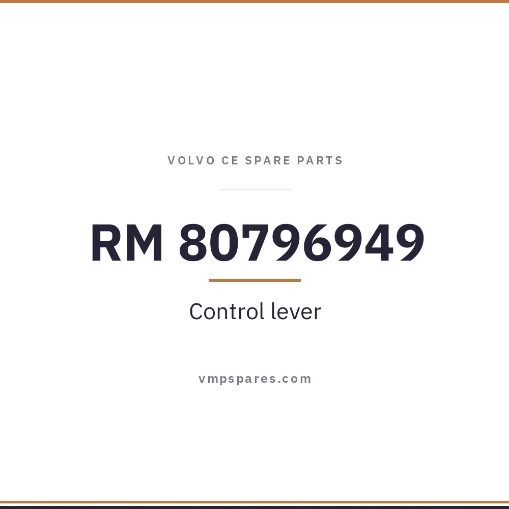 RM 80796949 – Control lever