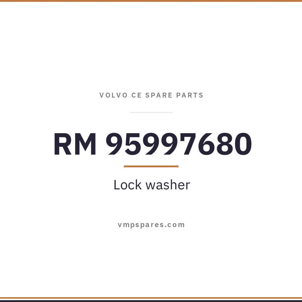 RM 95997680 – Lock washer
