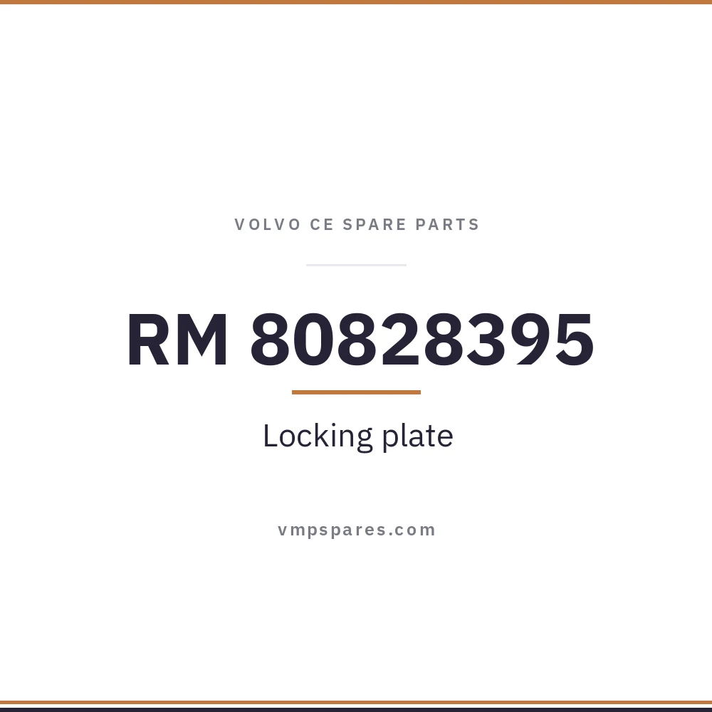 RM 80828395 – Locking plate