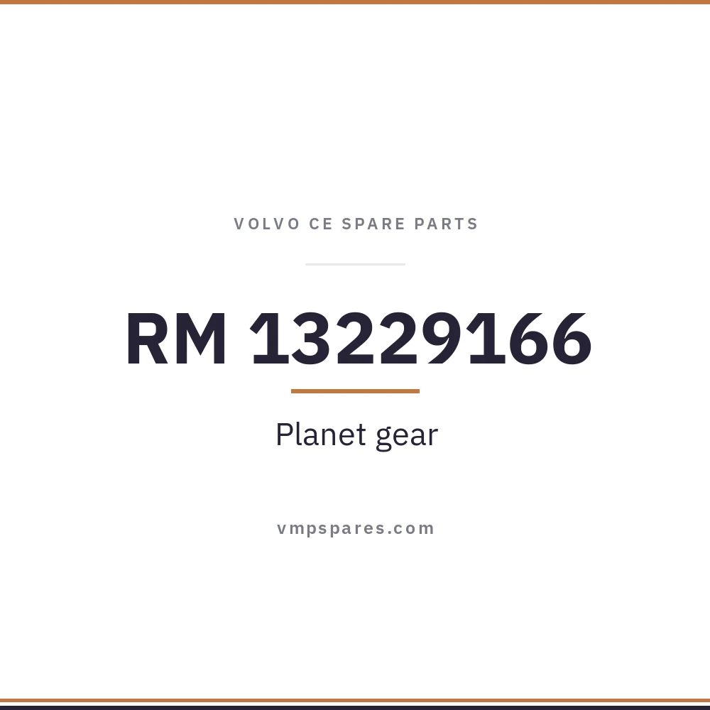 RM 13229166 – Planet gear