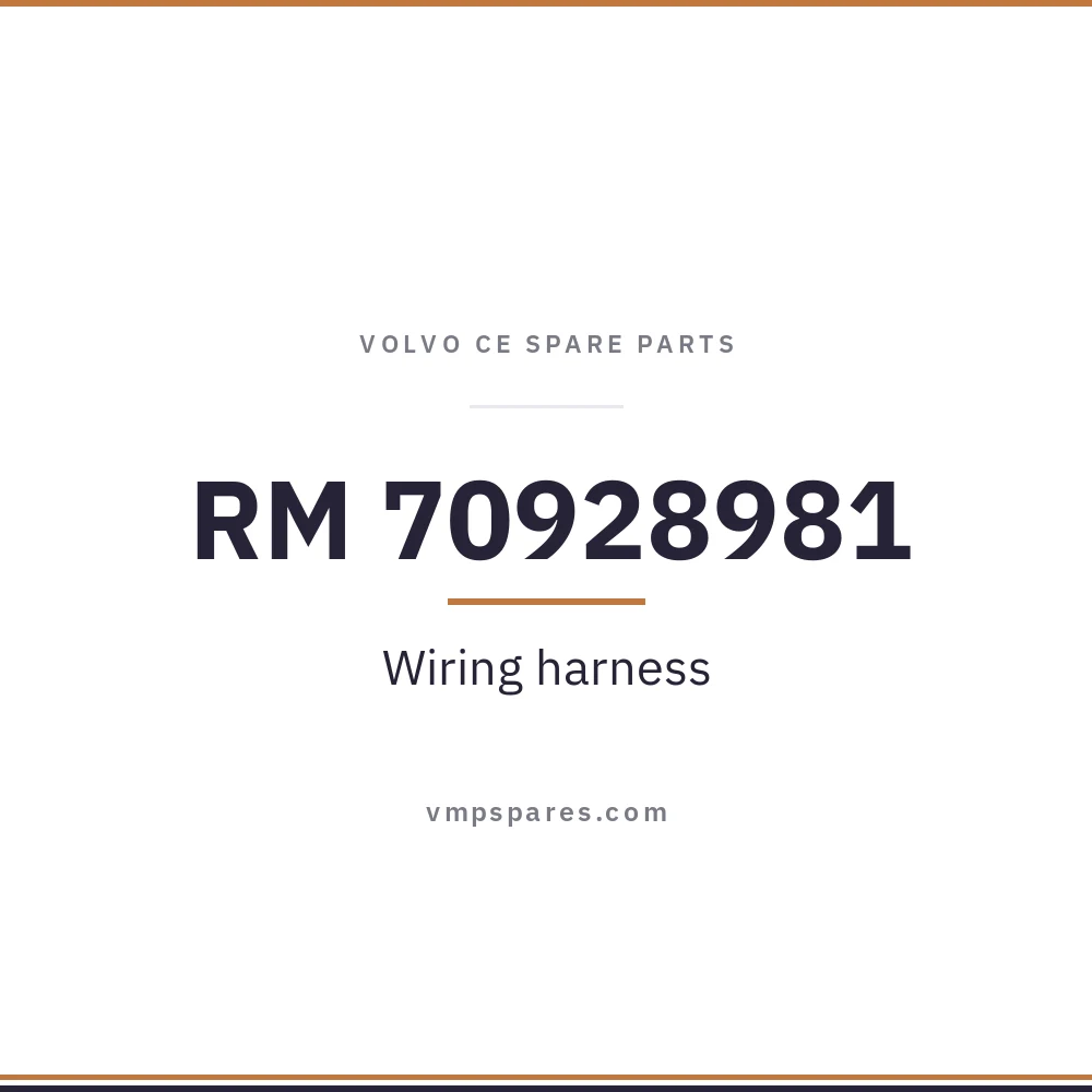 RM 70928981 – Wiring harness