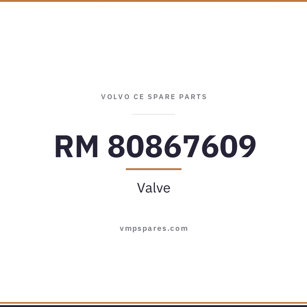 RM 80867609 – Valve