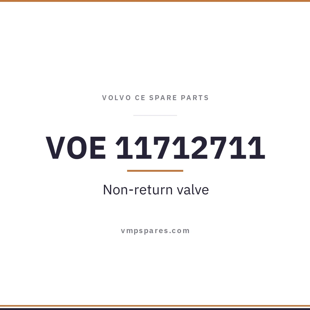 VOE 11712711 – Non-return valve