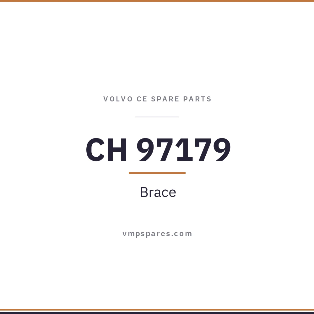 CH 97179 – Brace