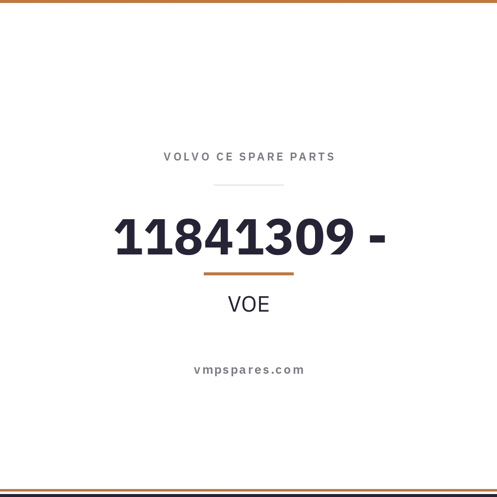 VOE 11841309 –