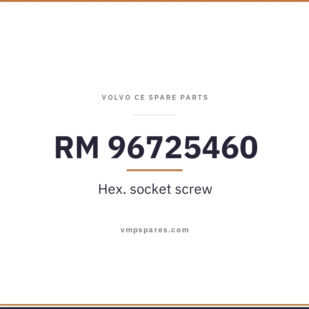 RM 96725460 – Hex. socket screw