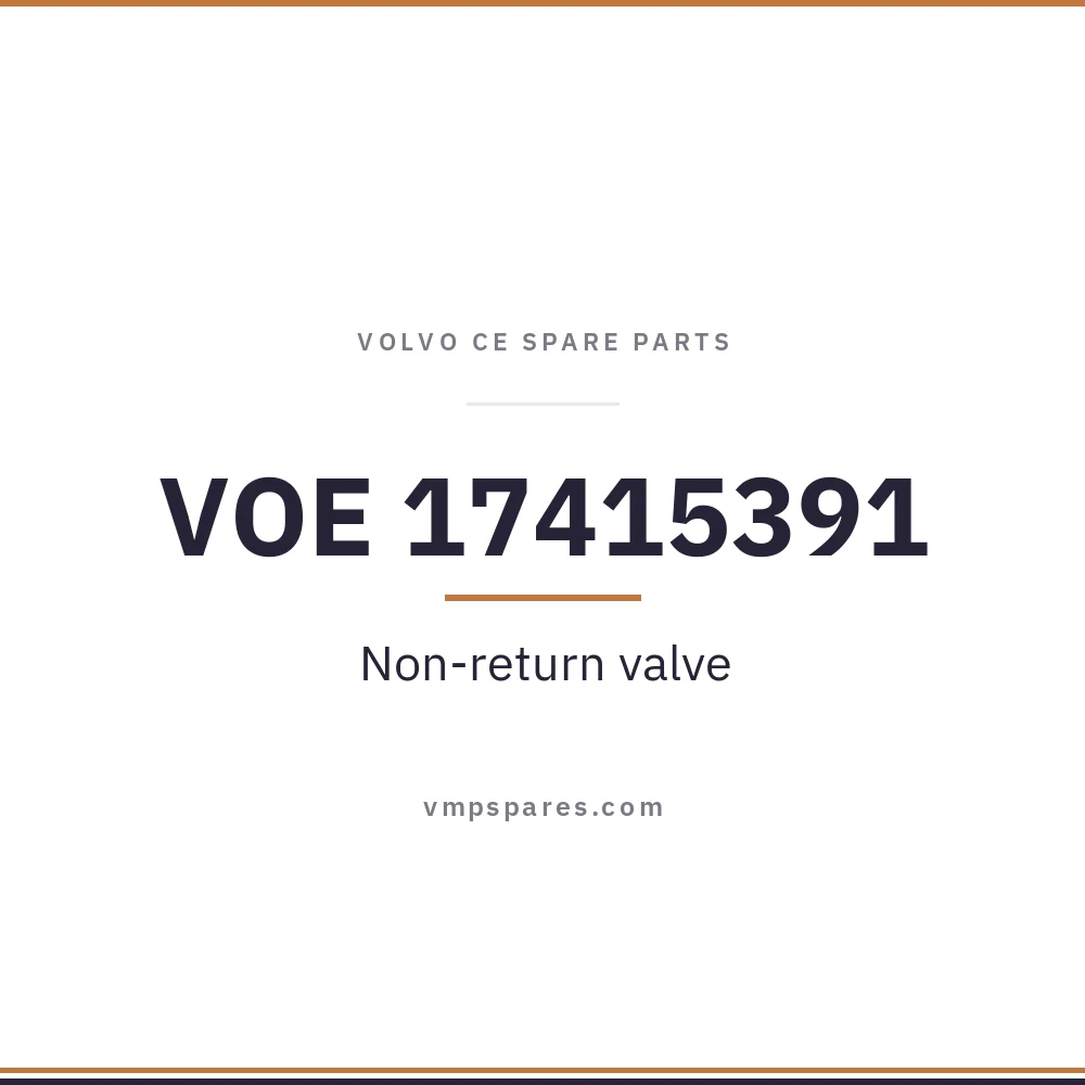 VOE 17415391 – Non-return valve