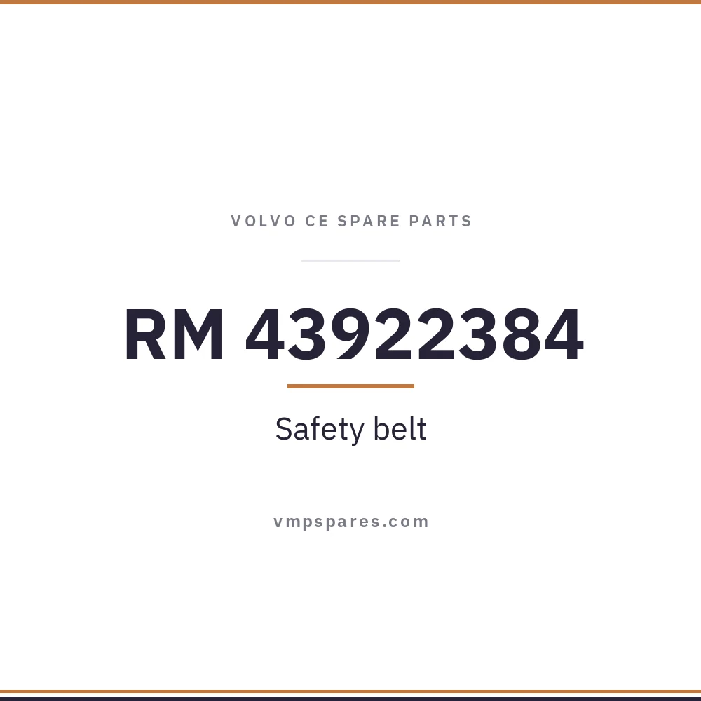 RM 43922384 – Safety belt