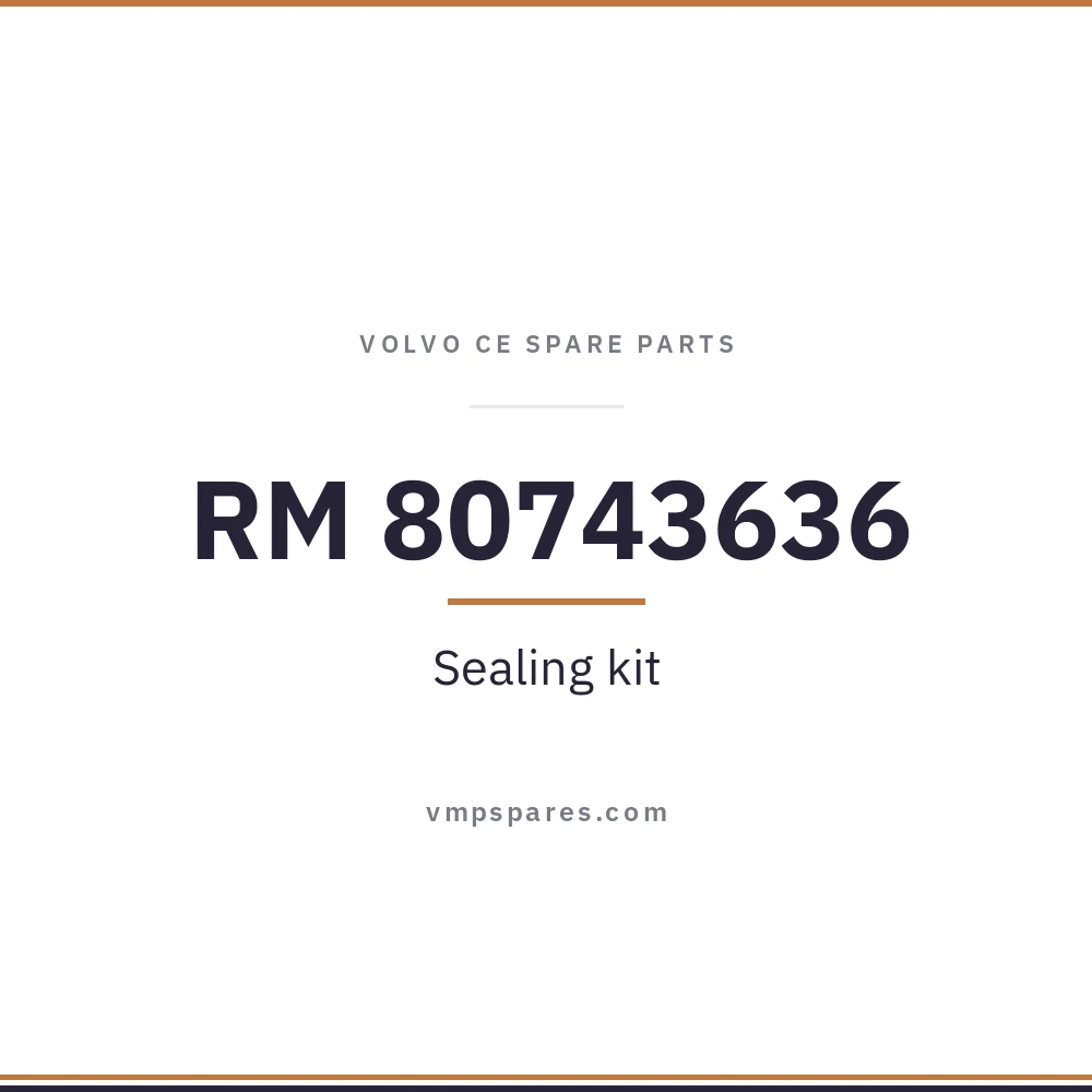 RM 80743636 – Sealing kit