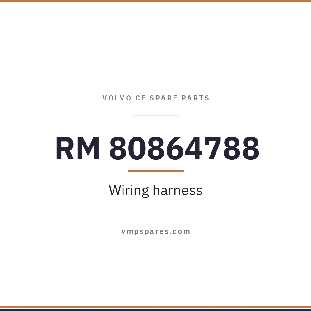 RM 80864788 – Wiring harness