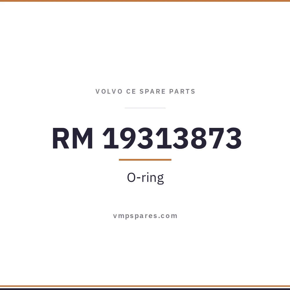 RM 19313873 – O-ring