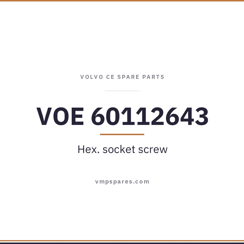 VOE 60112643 – Hex. socket screw