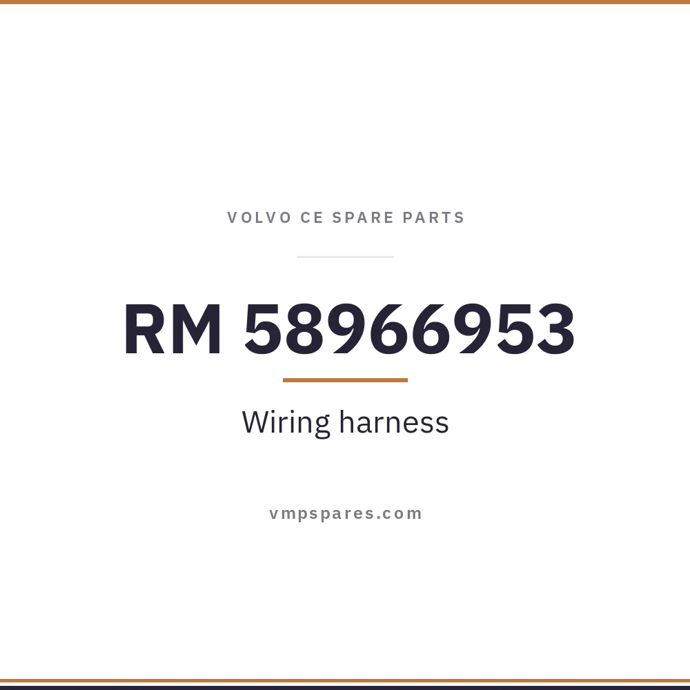 RM 58966953 – Wiring harness