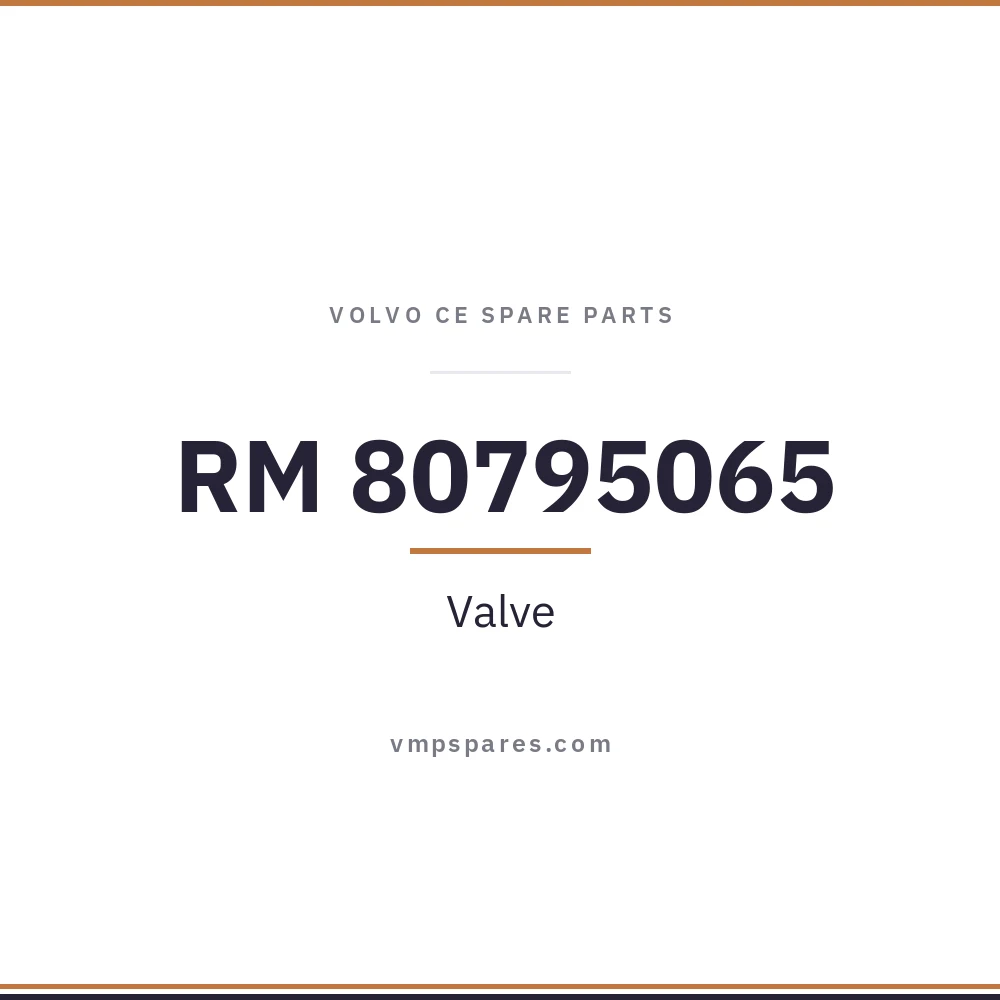 RM 80795065 – Valve