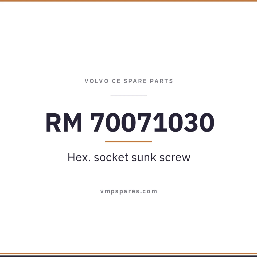 RM 70071030 – Hex. socket sunk screw