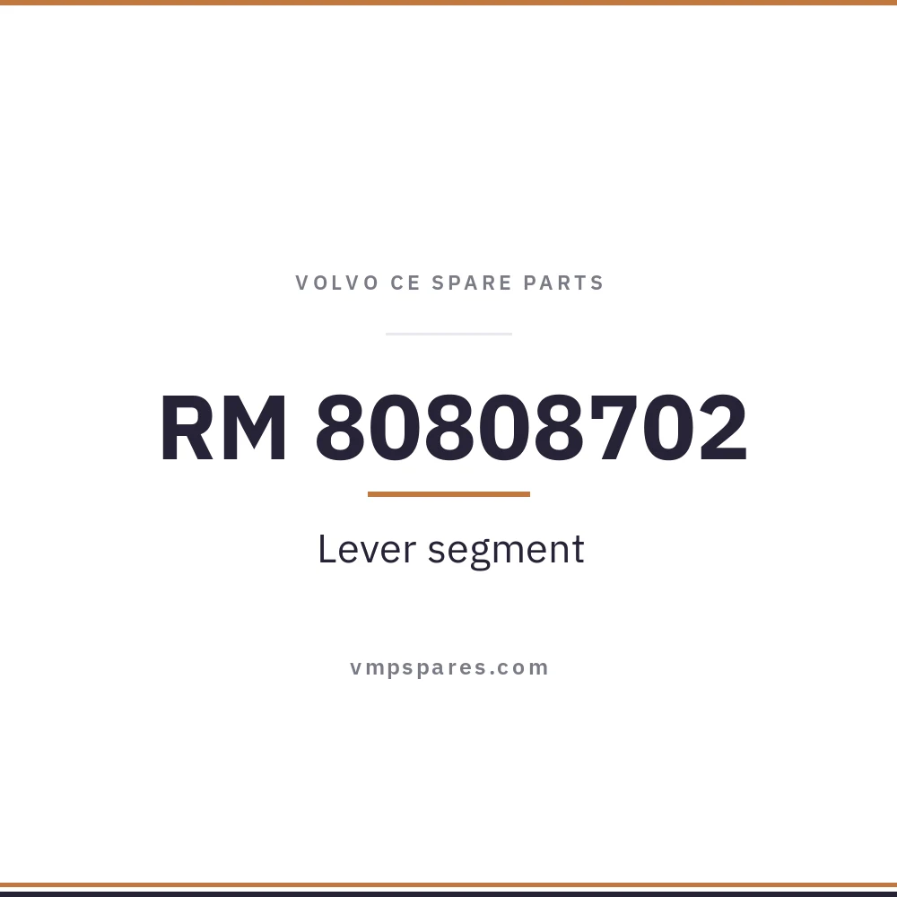 RM 80808702 – Lever segment